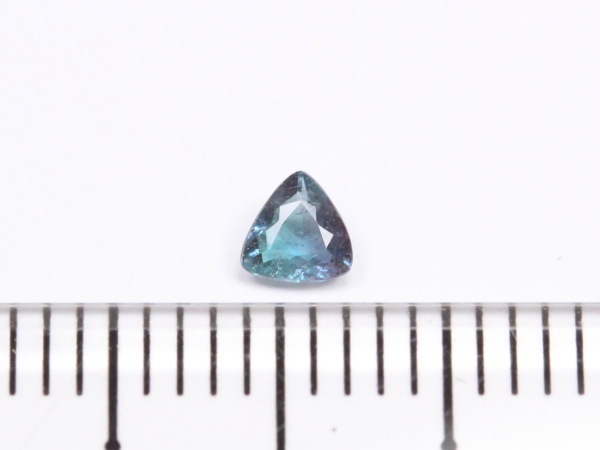 �p���C�o�g���}����