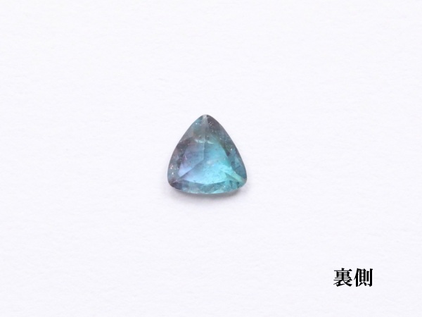 �p���C�o�g���}����