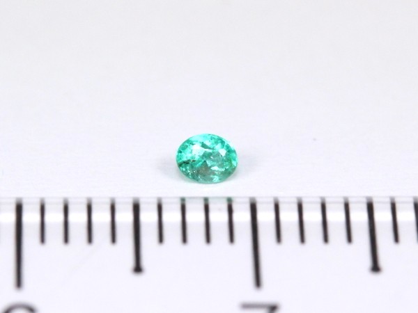 �p���C�o�g���}����