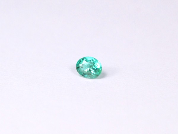 �p���C�o�g���}����