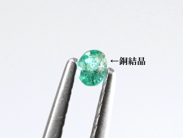 �p���C�o�g���}����