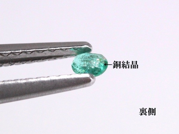 �p���C�o�g���}����