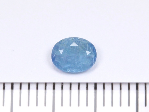 �p���C�o�g���}����