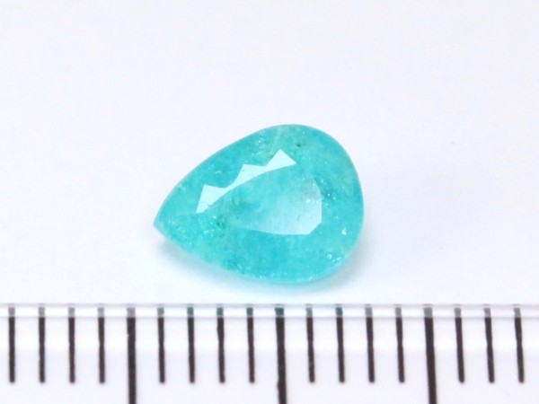 �p���C�o�g���}����