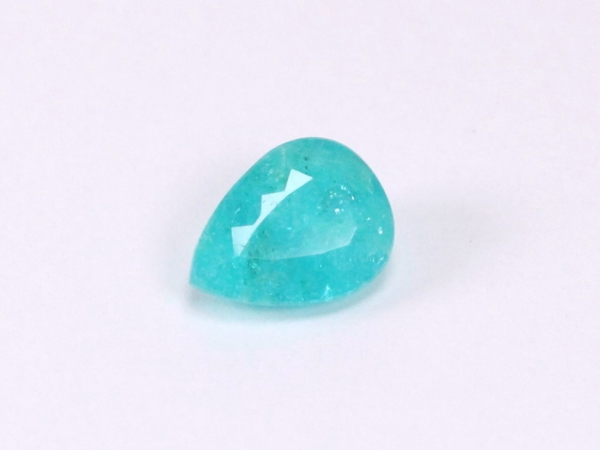 �p���C�o�g���}����