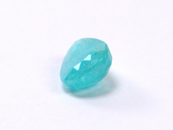 �p���C�o�g���}����