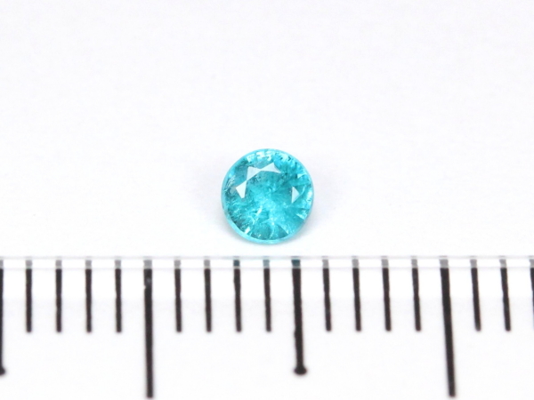 �p���C�o�g���}����