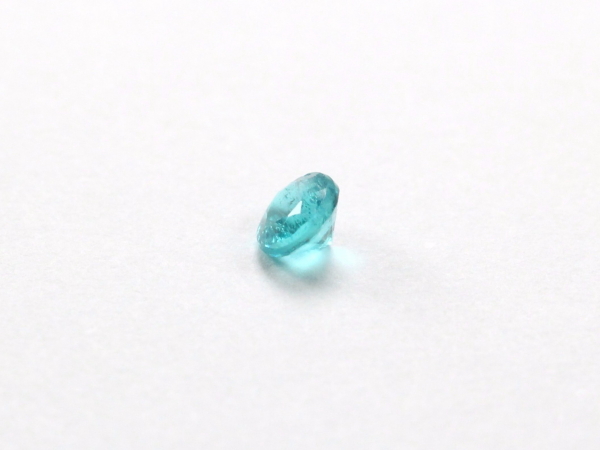 �p���C�o�g���}����