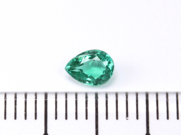 �p���C�o�g���}����