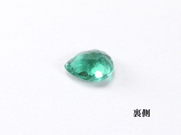 �p���C�o�g���}����