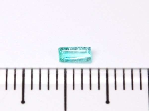 �p���C�o�g���}����