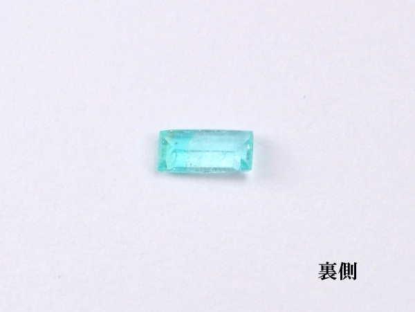 �p���C�o�g���}����