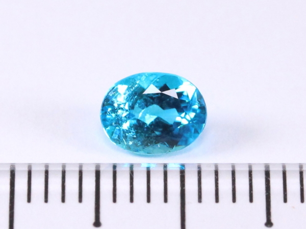 �p���C�o�g���}����