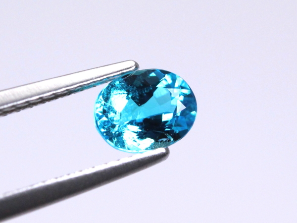 �p���C�o�g���}����