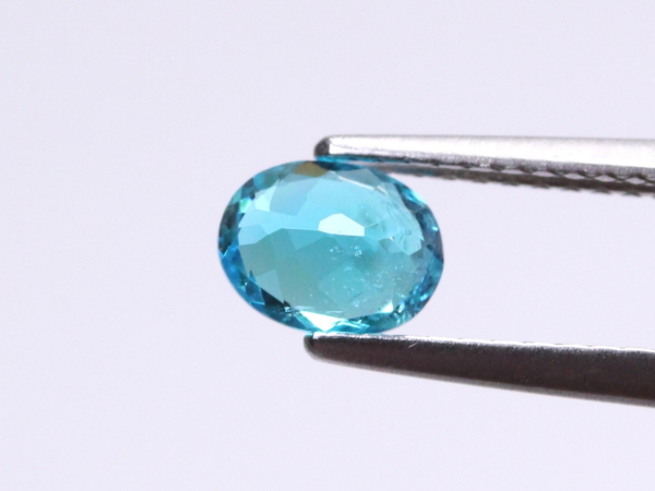 �p���C�o�g���}����