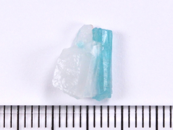 pCog}