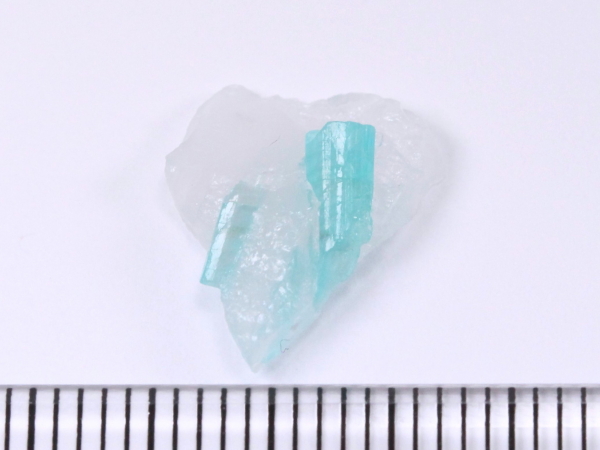 pCog}