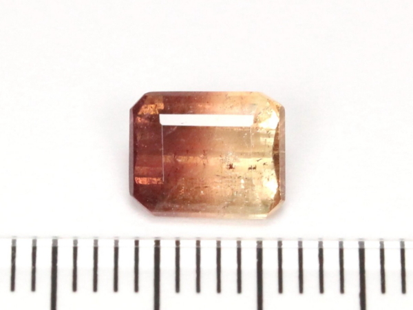 g}