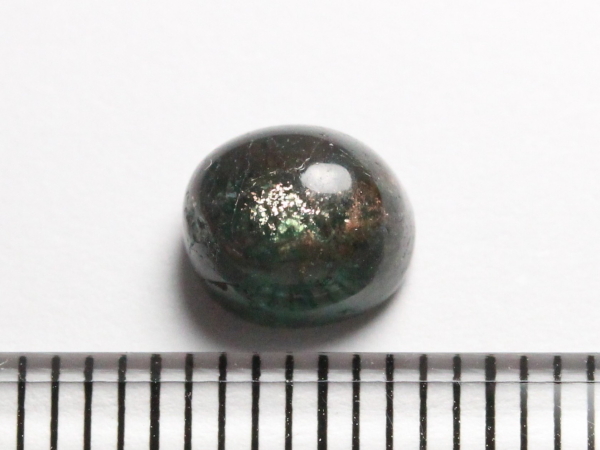 pCog}