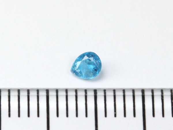 �p���C�o�g���}����