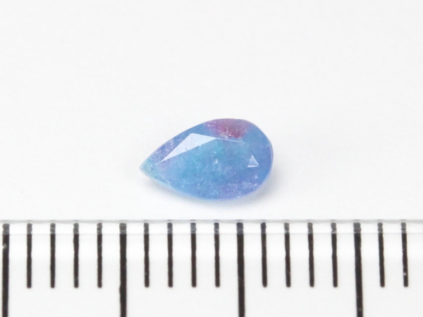 �p���C�o�g���}����