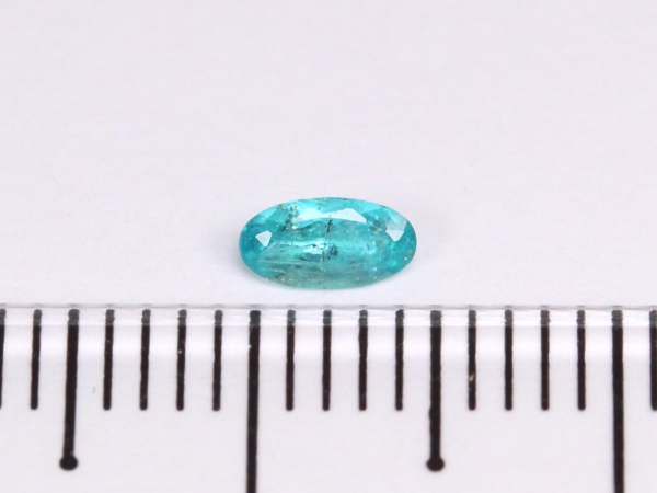 �p���C�o�g���}����