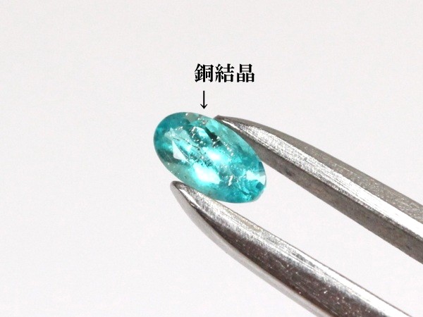 �p���C�o�g���}����