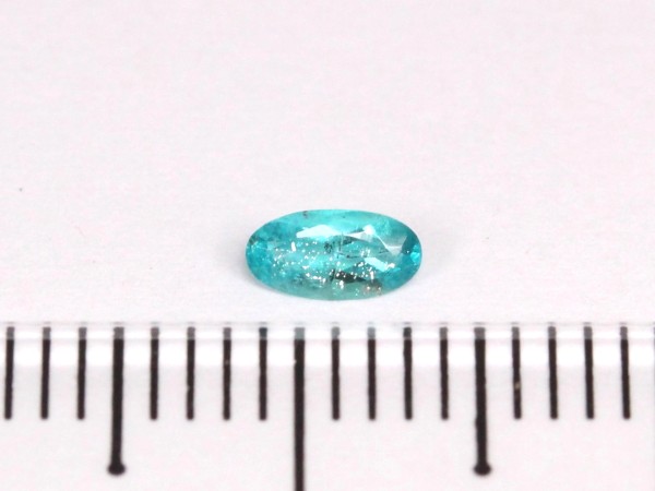 �p���C�o�g���}����