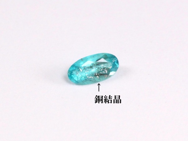 �p���C�o�g���}����