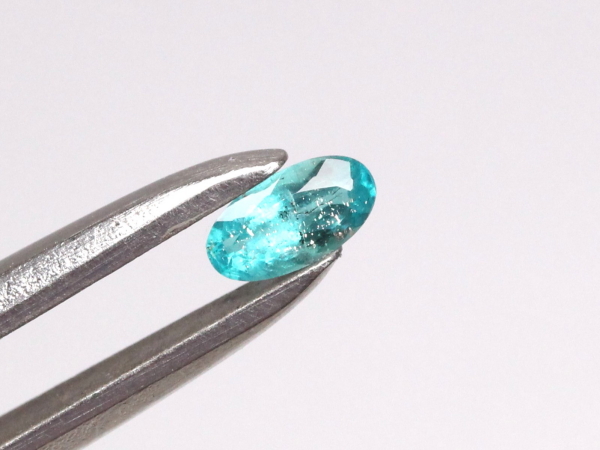 �p���C�o�g���}����