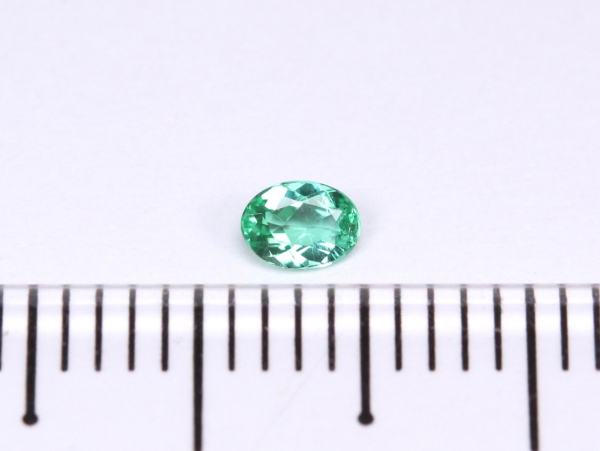 �p���C�o�g���}����