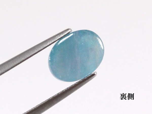 �p���C�o�g���}����