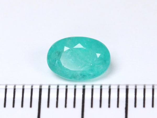 �p���C�o�g���}����