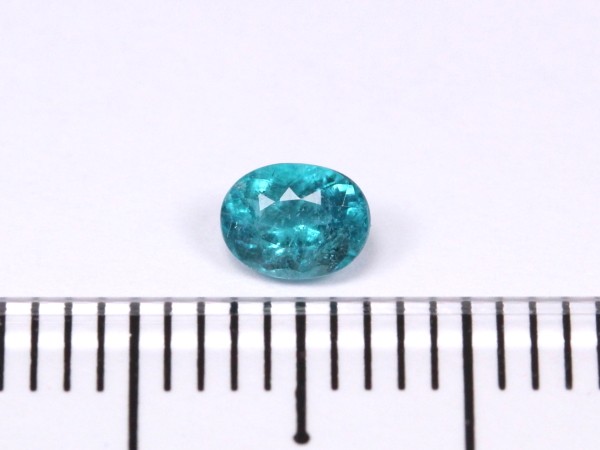 �p���C�o�g���}����