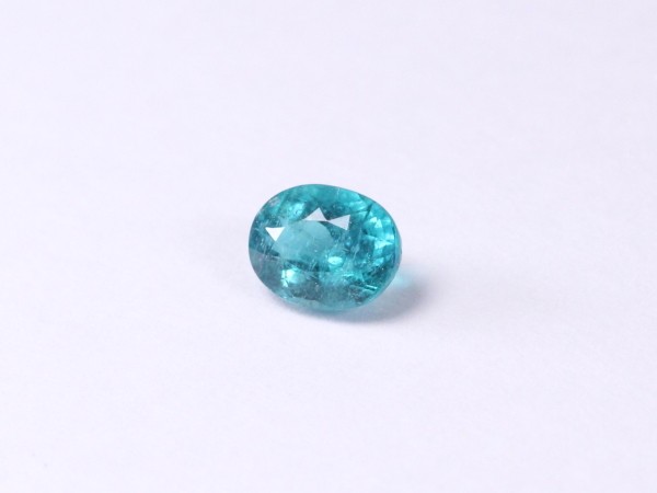 �p���C�o�g���}����