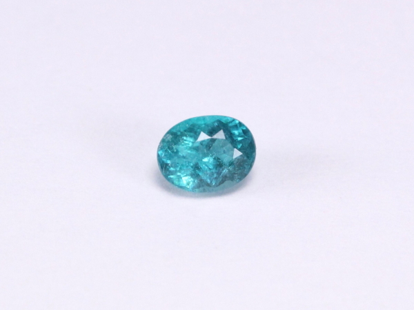 �p���C�o�g���}����