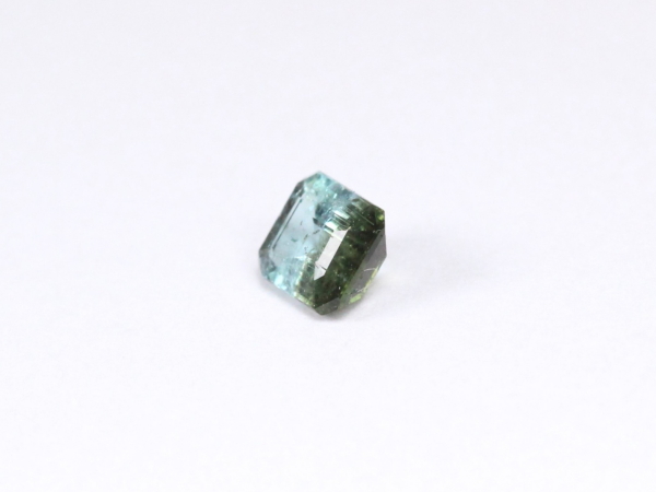 �p���C�o�g���}����