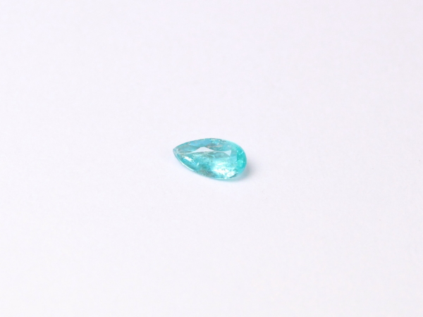 �p���C�o�g���}����