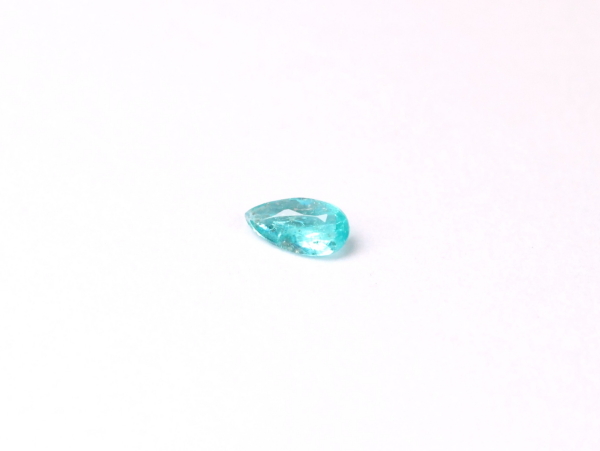 �p���C�o�g���}����