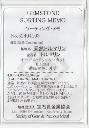 �p���C�o�g���}����