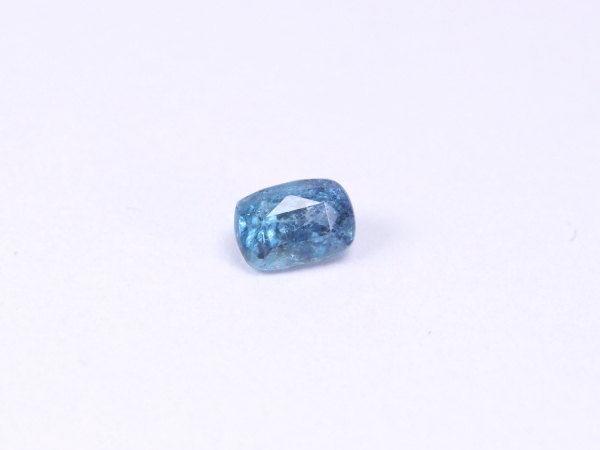�p���C�o�g���}����