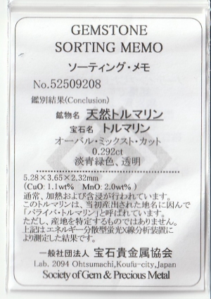 �p���C�o�g���}����