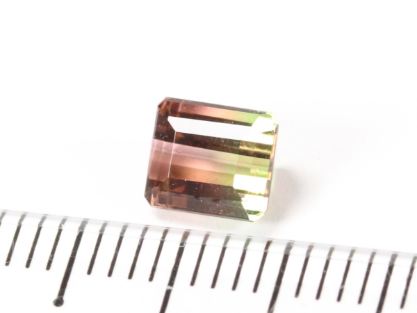 �g���}����